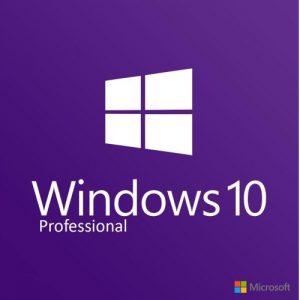 Windows 10 Professional Software günstig kaufen bei myshop4you.